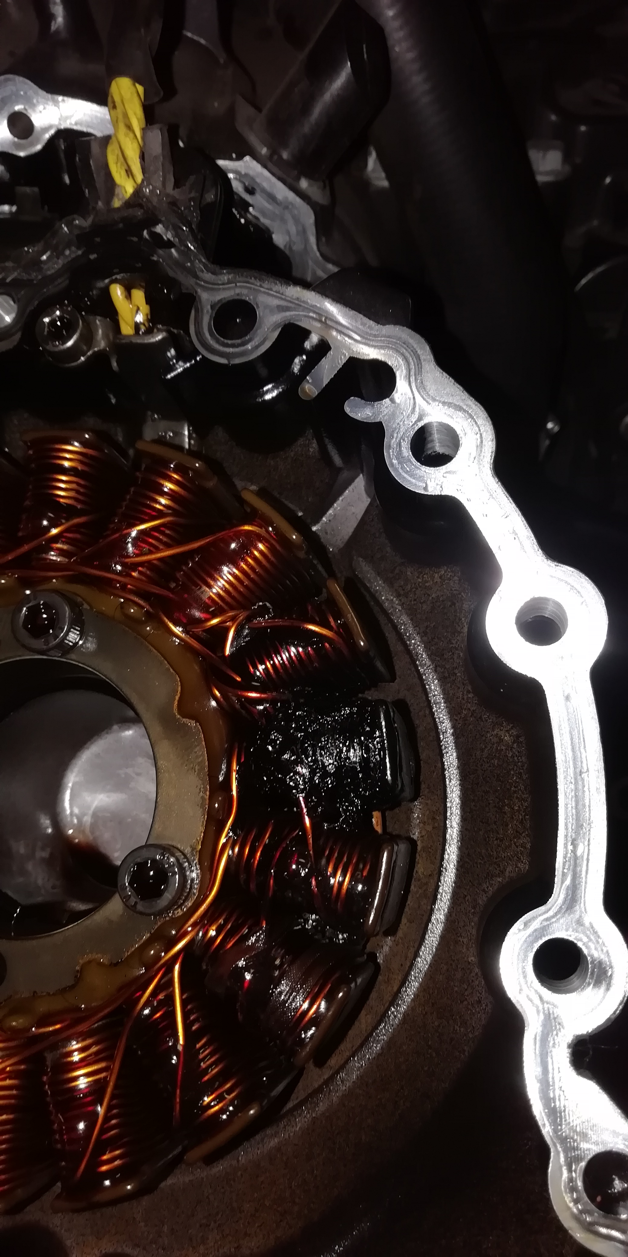 triumph tiger 1050 forum